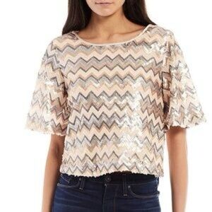 Skies Are Blue Sequin Chevron Crop Top in Silver and Cream